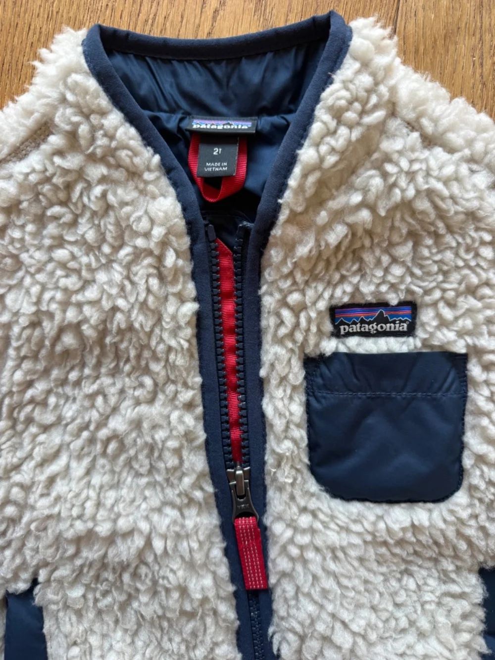 Patagonia Retro-X Fleece